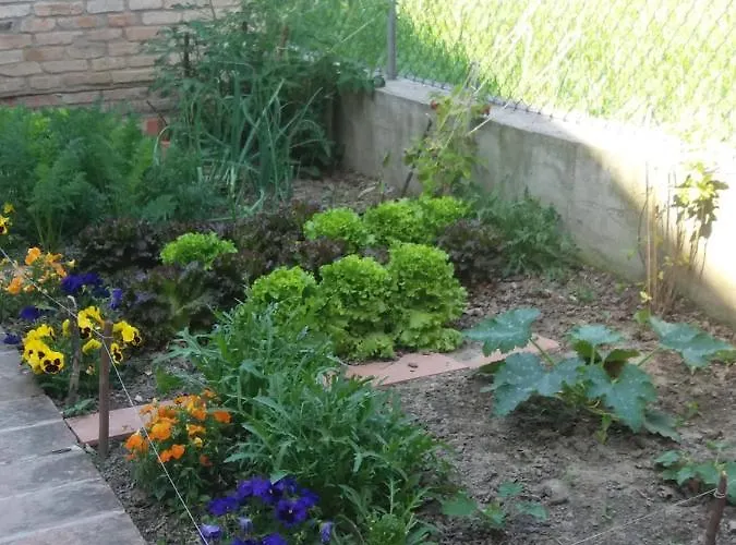 Bed & Breakfast R&b Un A Colori 4*