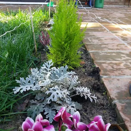 Bed & Breakfast R&b Un A Colori