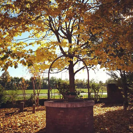 Couette-café R&b Un A Colori 4*