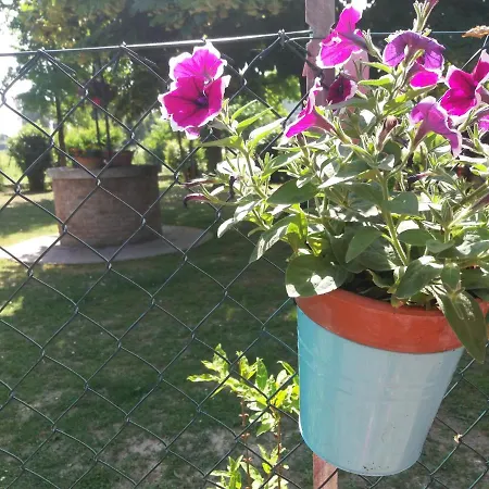 R&b Un A Colori Ferrara