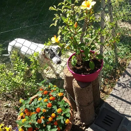 Bed & Breakfast R&b Un A Colori 4*