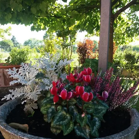 R&b Un A Colori Bed & Breakfast
