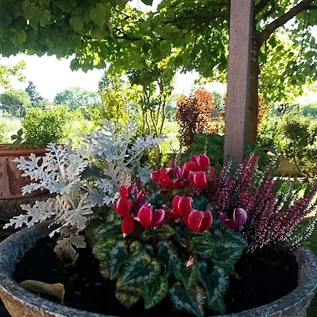 Bed & Breakfast R&b Un A Colori Ferrara