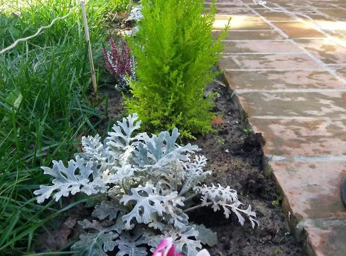 Nocleg ze śniadaniem R&b Un A Colori