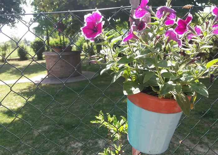 R&b Un A Colori Ferrara