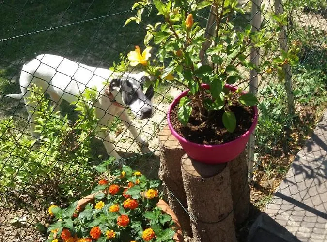 Nocleg ze śniadaniem R&b Un A Colori 4*