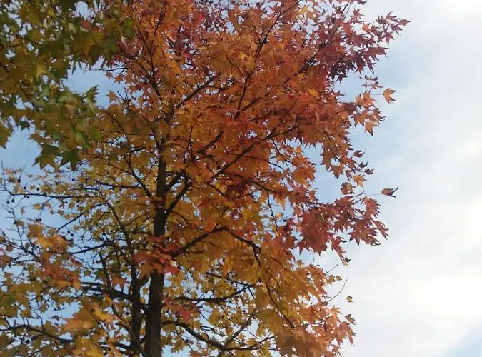 R&b Un A Colori פררה