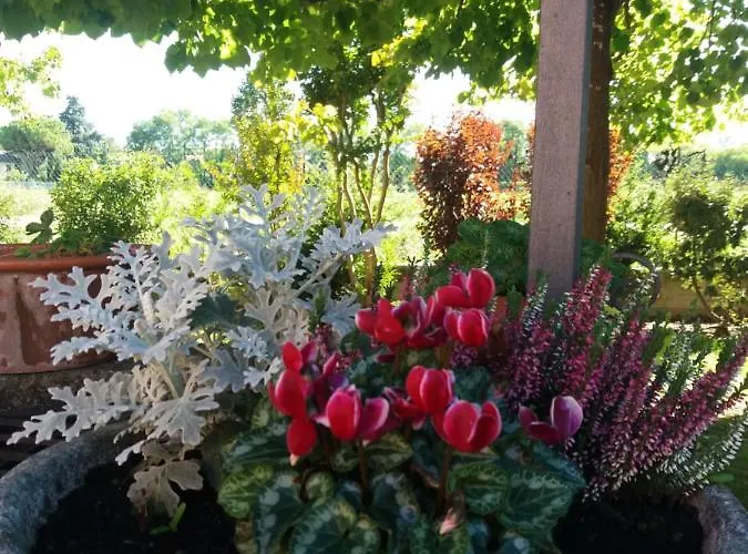 R&b Un A Colori Nocleg ze śniadaniem