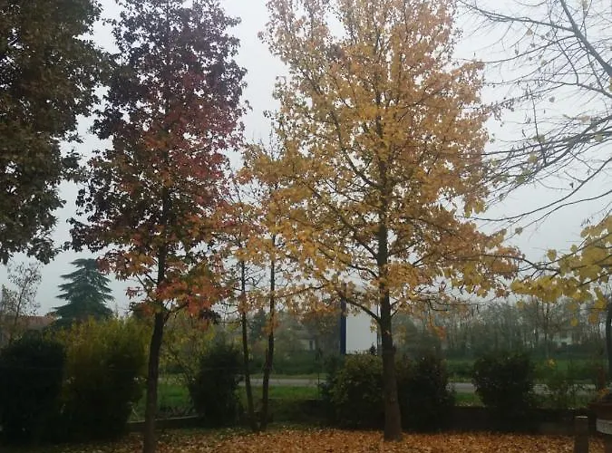 Bed & Breakfast R&b Un A Colori Ferrara