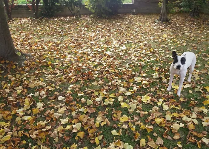 Nocleg ze śniadaniem R&b Un A Colori 4*